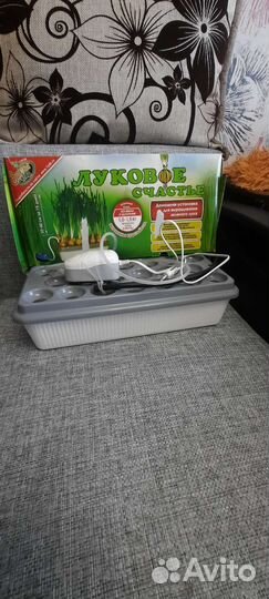 Луковое счастье