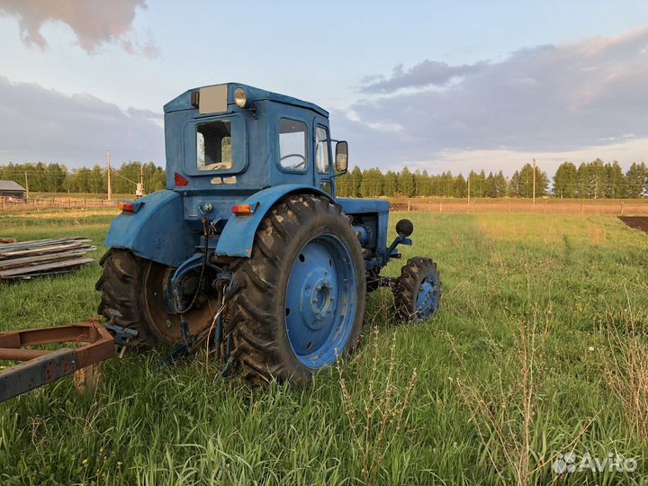 Трактор ЛТЗ Т-40АП, 1981