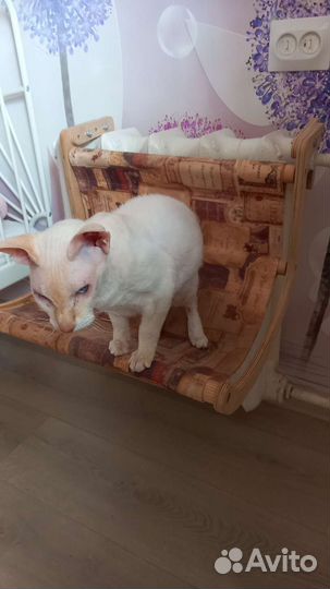 Спальное место для домашних животных