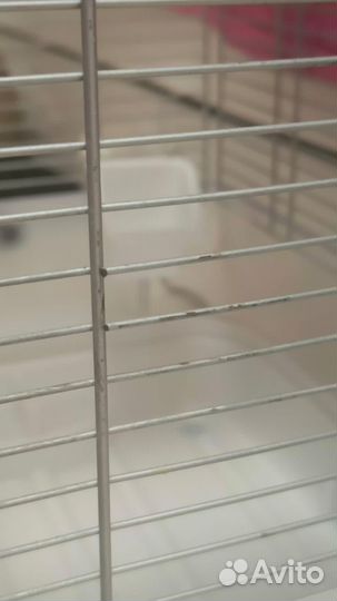 Клетка hagen vision s01 для попугаев