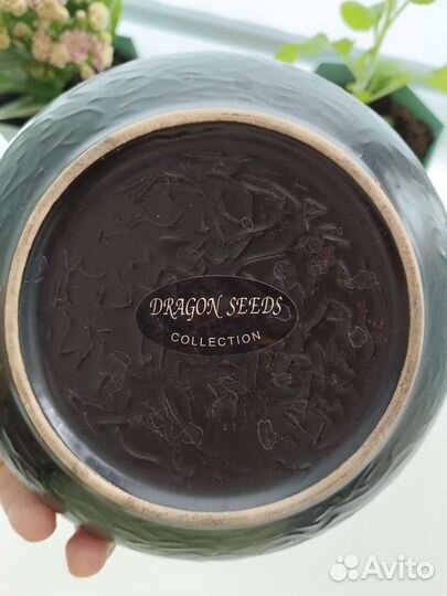 Чайник заварочный в азиатском стиле