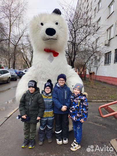 Поздравление Белого Мишки