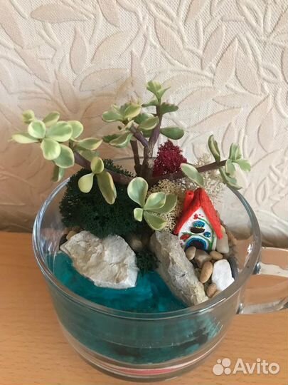 Флорариум, бонсариум, орхидариум (цветы в аквариум