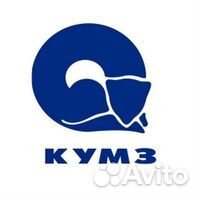 Администратор баз данных (DBA)