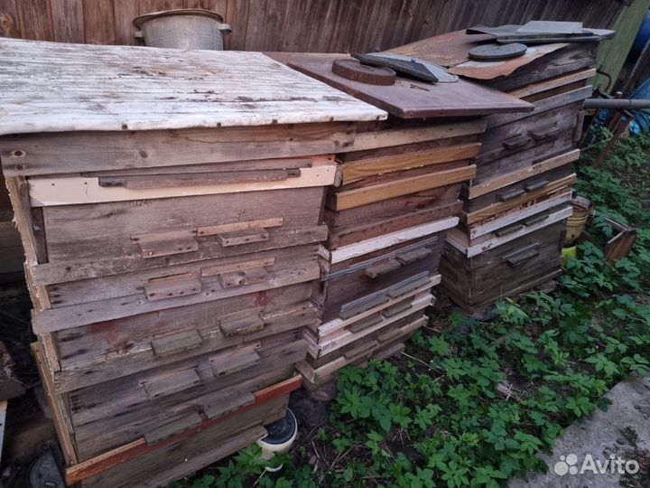 Улей для пчел