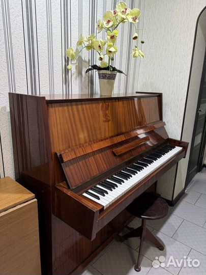 Пианино Кубань