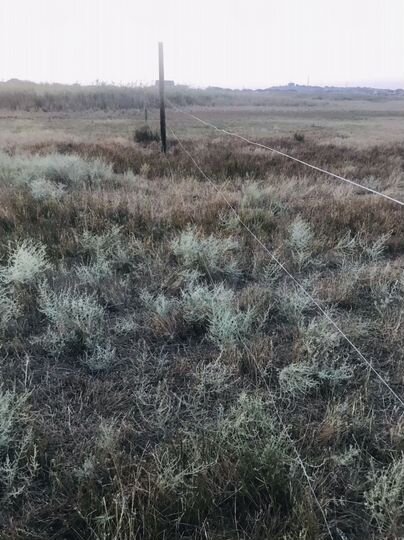 Участок 5 сот. (ИЖС)