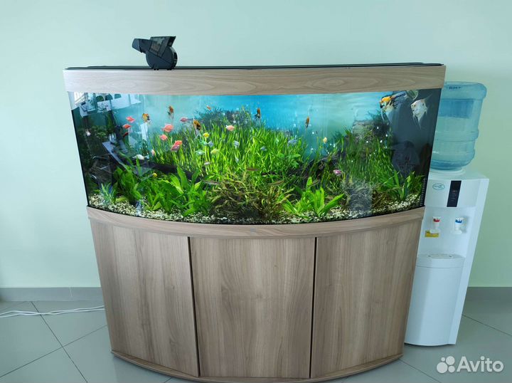 Обслуживание аквариумов