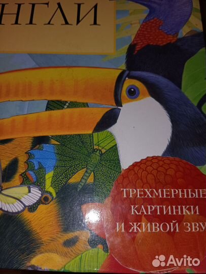 Детские книги с трёхмерными картинками