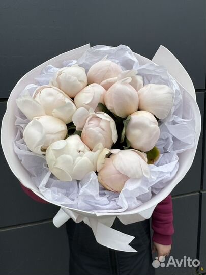 Шикарные пионы