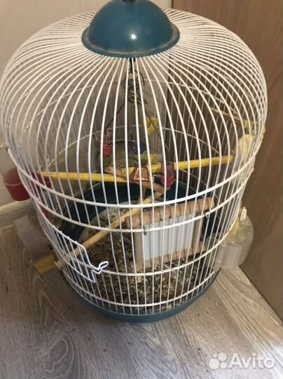 Клетка для попугая