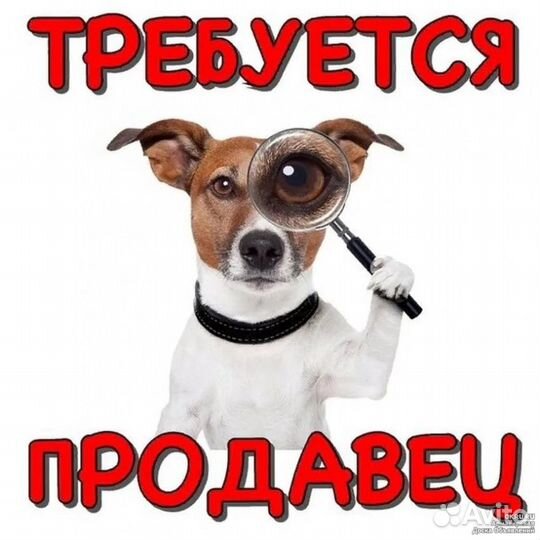 Продавец на выходные