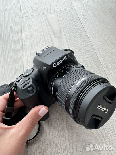 Фотоаппарат canon eos 250d