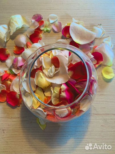 Свежие лепестки роз Эквадор