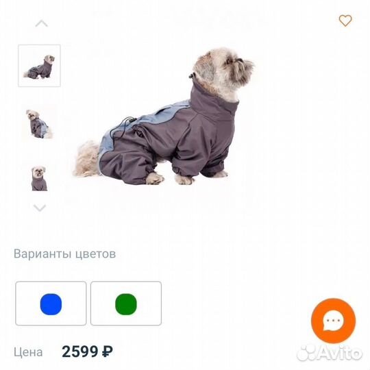 Одежда для средних собак