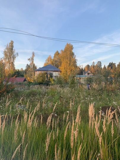 Участок 6 сот. (СНТ, ДНП)
