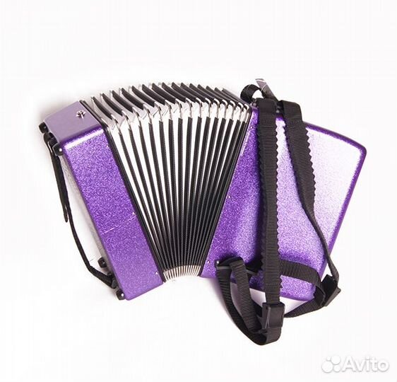 Kinderakkordeon Аккордеон детский 22/II/12/II, фио