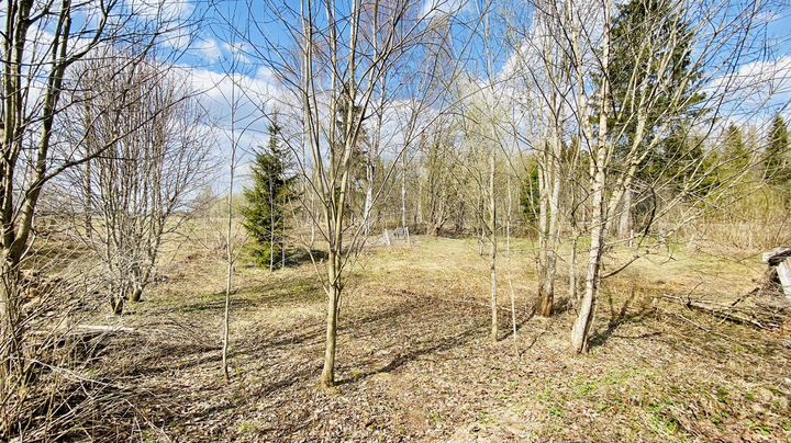 Участок 12 сот. (СНТ, ДНП)