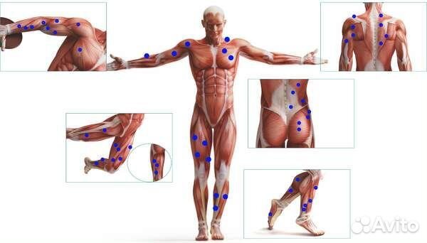 Массажер для тела Bodo Body Gun