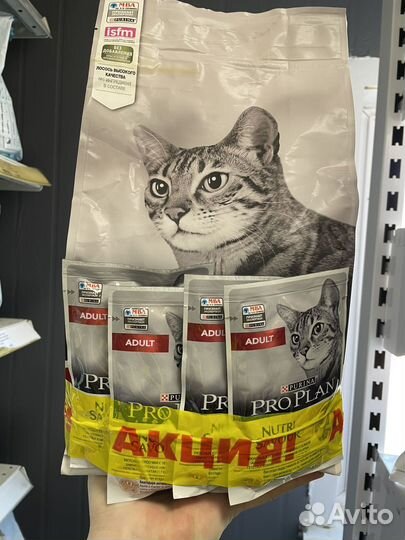 Корма для собак и кошек