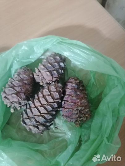 Шишка, орех, рыба