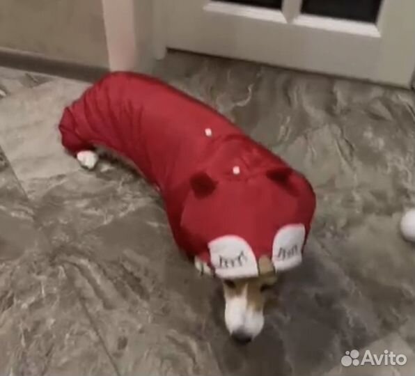 Зимний комбинезон для собак