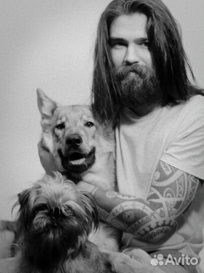 Кинолог. Специалист по коррекции поведения собак