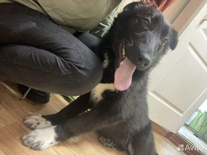 Мальчик-Чилик