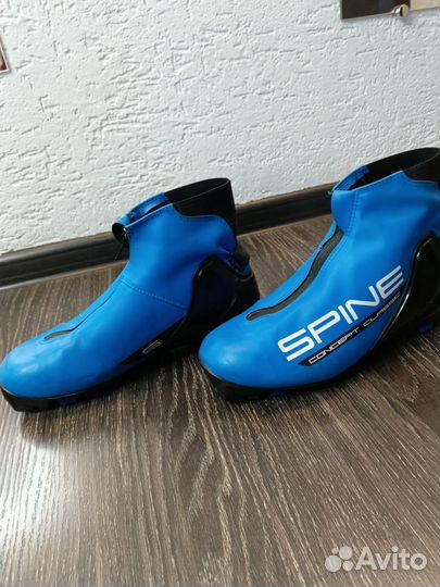Лыжные ботинки Spine concept classic