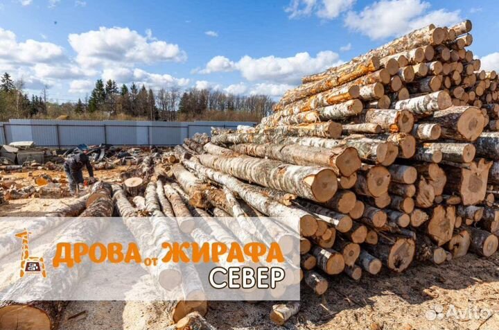 Дрова колотые навалом