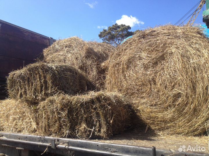 Сено и Солома в рулонах. Дробленка