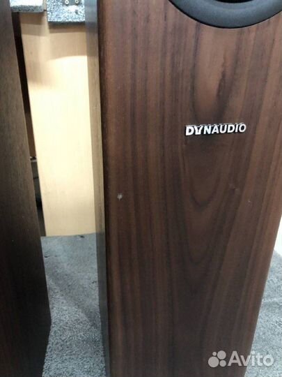 Напольная акустика Dynaudio Evoke 30 Walnut Wood
