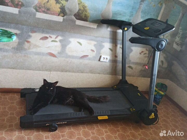 Беговая дорожка электрическая бу