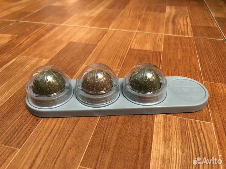 Кошачья мята