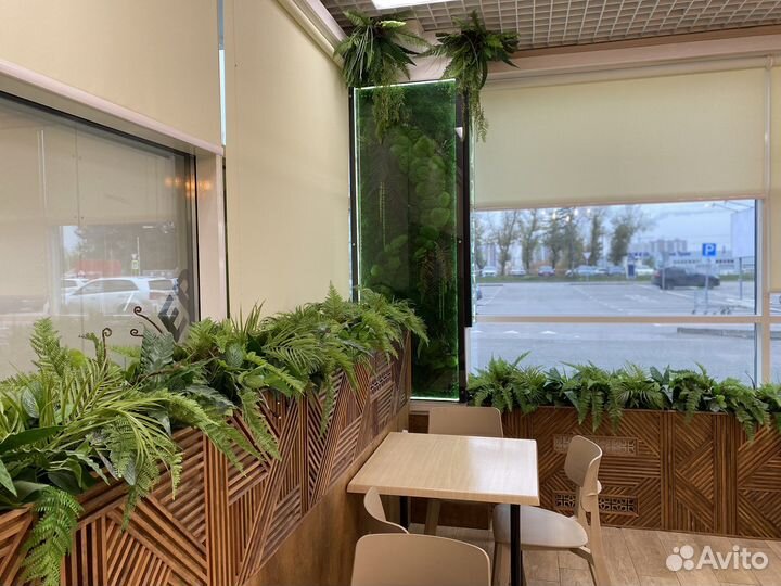 Искусственное озеленение. Мох. Фитостена. Декор