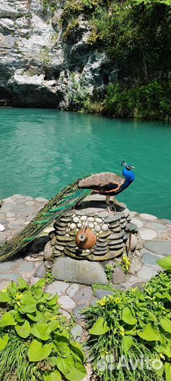 День в Абхазии с комфортом