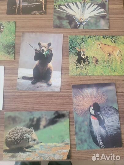 Открытки советские СССР