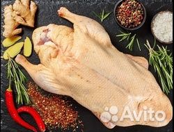 Мясо домашнее Гусь Утка Курица Яйцо