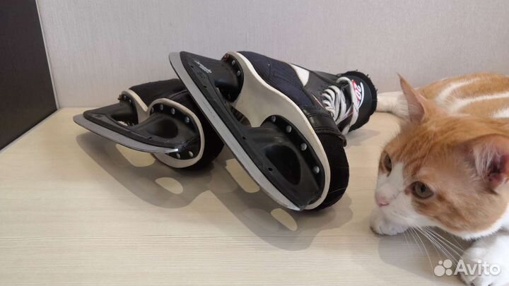 Коньки хоккейные Botaz