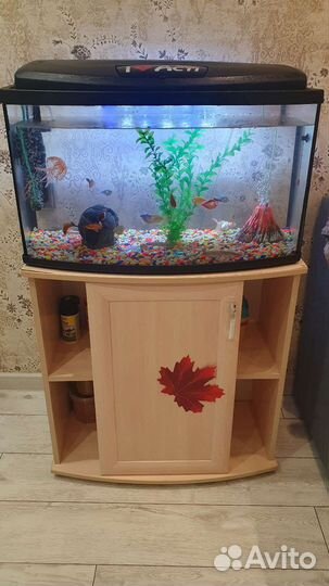 Аквариум 80 л рыбками
