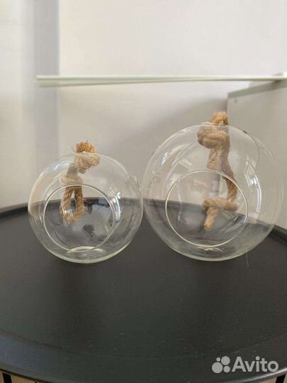 Флорариум, ваза, шар