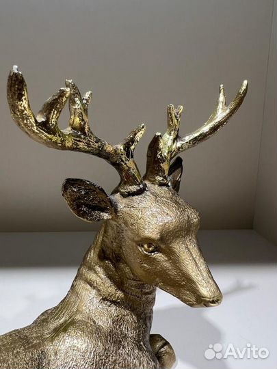 Северный олень