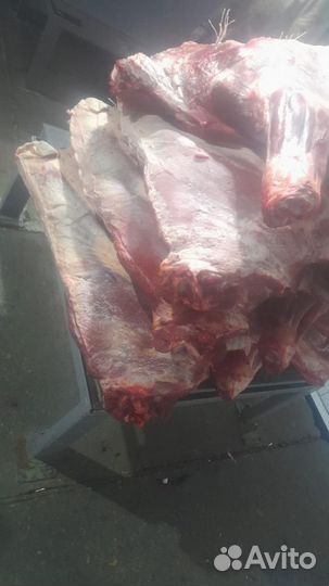 Мясо Свинина Баранина Говядина Куры