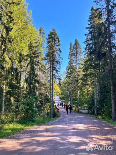 Тур на 1 день: 