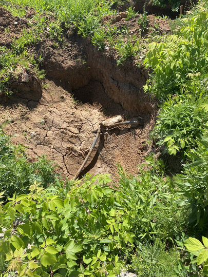 Участок 20 сот. (ИЖС)