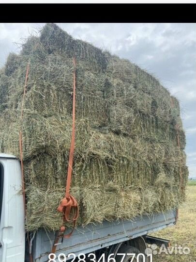 Сено в тюках