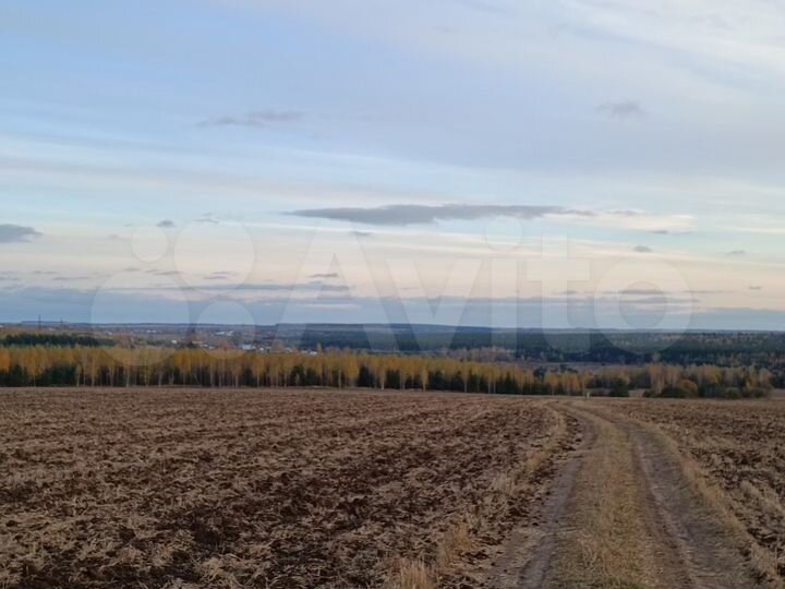 Участок 15 сот. (ИЖС)