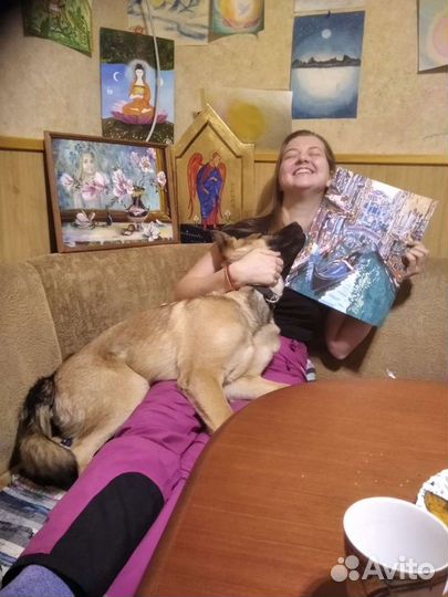 Передержка для собак, догситтер