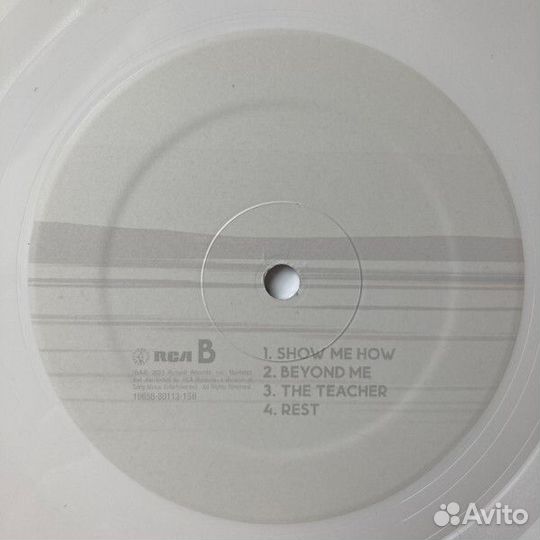 Виниловая пластинка Foo Fighters - But Here We Are