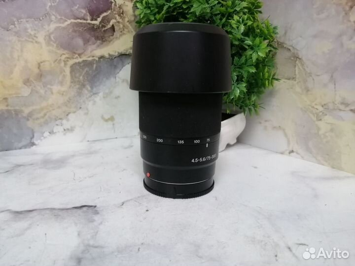 Объектив sony SAL75300